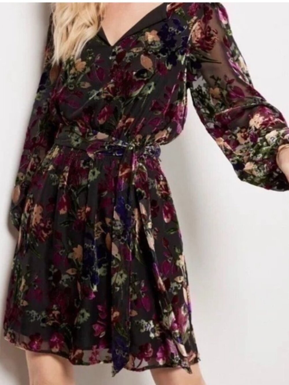 NWT Evereve Ashlyn Velvet Burnout Dress. Size XS
